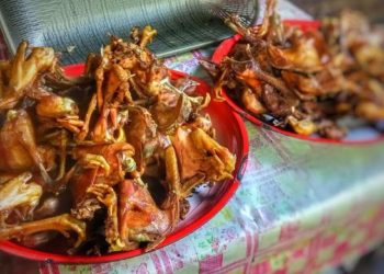 Warung Ayam Goreng Bu Sri Mitin: Kuliner Terbaik di Ponorogo