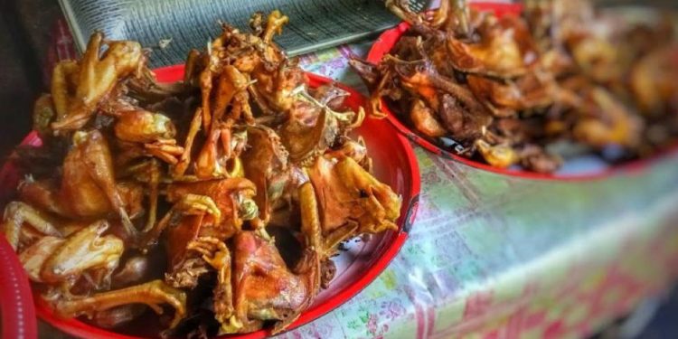Warung Ayam Goreng Bu Sri Mitin: Kuliner Terbaik di Ponorogo