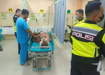 Nenek 70 Tahun Tewas Tertabrak saat Menyebrang di Ponorogo