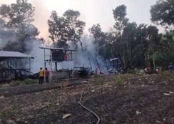 Ribuan Ayam Mati Terpanggang Akibat Kebakaran di Ponorogo, Kerugian Capai 1,3 Miliar Rupiah