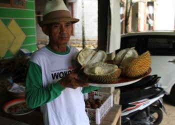 Musim Durian, Ini 3 Tempat Wisata Durian di Jawa Timur yang Wajib Dikunjungi