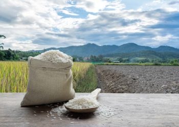 Lamongan Kembali Jadi Lumbung Beras Jawa Timur