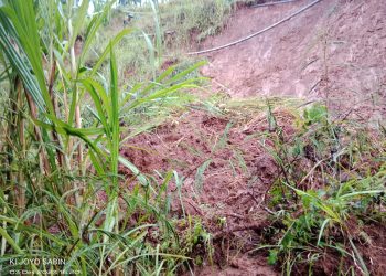 Hujan Deras Picu Kewaspadaan di 9 Kecamatan Rawan Longsor Ponorogo