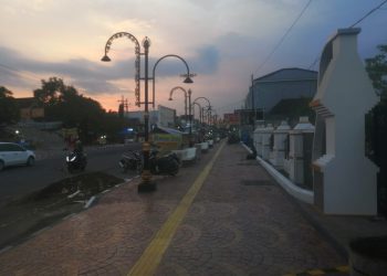 Pemkab Ponorogo: 30 Pohon Kamboja Siap Hiasi Pedestrian Gajah Mada!