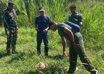 Serangan Anjing Liar Resahkan Warga Gontor